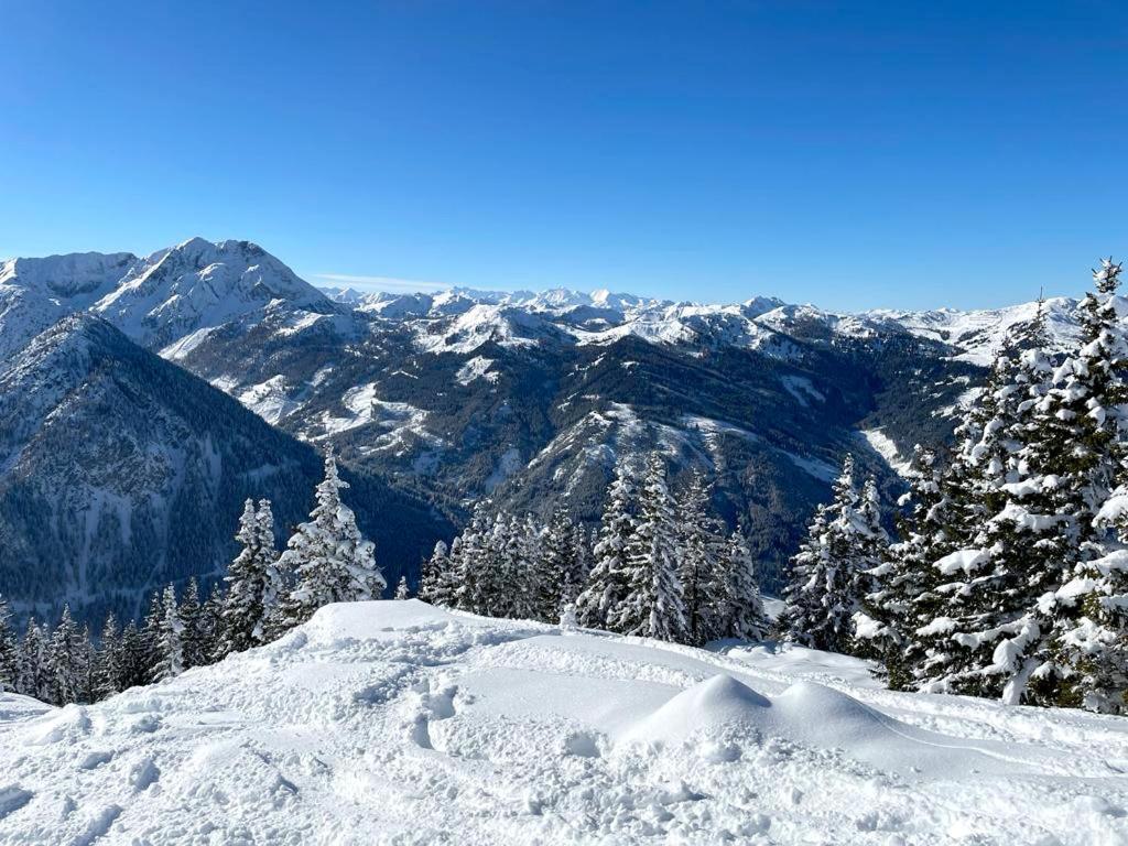 Hotel - Pension Oetzmooshof ザンクト・ヨーハン・イム・ポンガウ エクステリア 写真