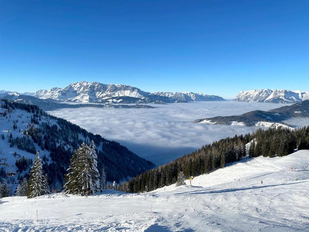 Hotel - Pension Oetzmooshof ザンクト・ヨーハン・イム・ポンガウ エクステリア 写真