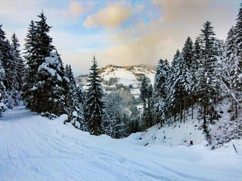 Hotel - Pension Oetzmooshof ザンクト・ヨーハン・イム・ポンガウ エクステリア 写真
