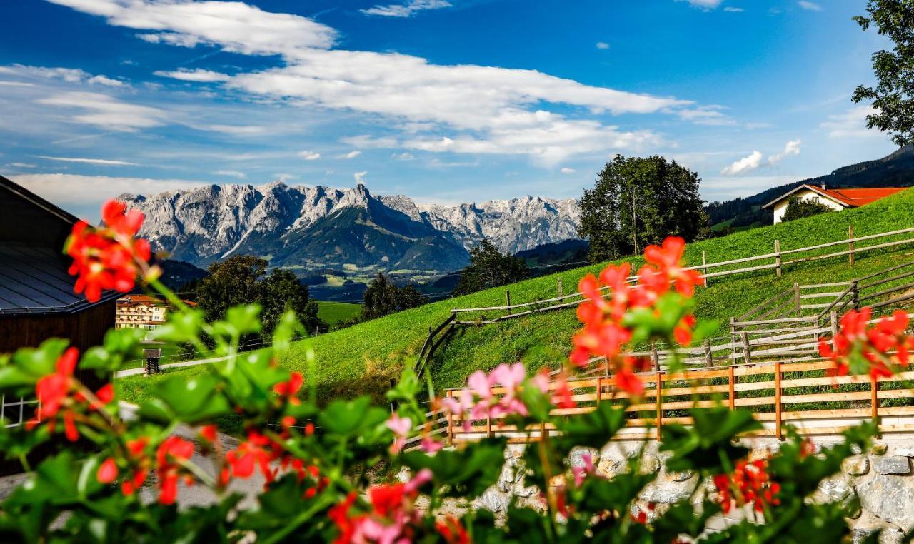 Hotel - Pension Oetzmooshof ザンクト・ヨーハン・イム・ポンガウ エクステリア 写真